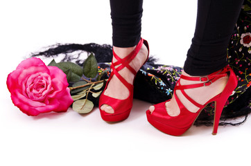 Zapatos, flor y mantón de manila