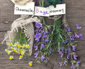 sage, rosemary and chamomile herbs © Vesna Cvorovic