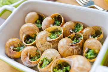 Bourgogne snails