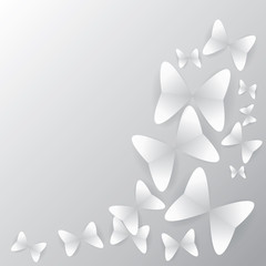butterfly background with shadow, created by vector