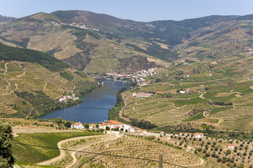 Fototapeta na wymiar Douro Valley