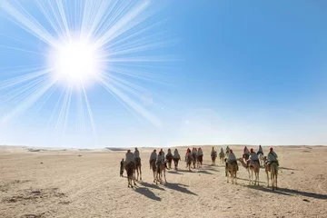 Wandcirkels tuinposter Sahara desert with sun and tourists © Goran Jakus