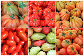 collage with variety of tomatoes