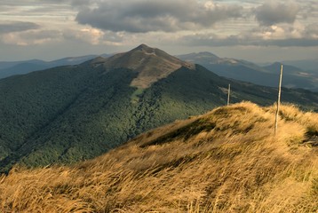 Polonina Carynska Meadow in the Bieszczady Mountains © Krwawy