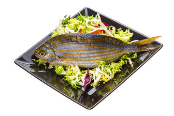 Salema porgy - sarpa fish