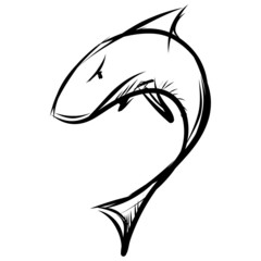 Shark isolated on white background