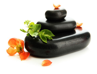 Spa stones and flowers isolated on white