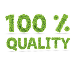 100% quality text of green vector leaves