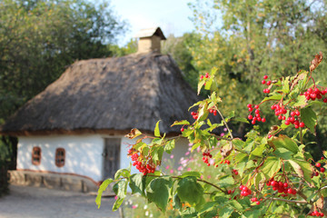 Old hut