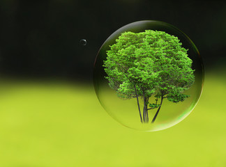 Tree in a bubble, room for text or copy space