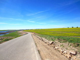 paisaje de Castilla la Mancha
