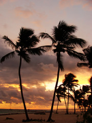 Obraz premium Silhouettes of palm trees on a tropical beach at sunrise