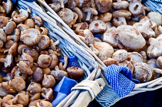 Mushrooms in basket on marketplace