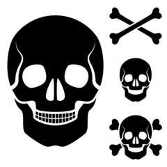 vector human skull cross bones symbol