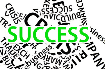 Obraz premium The sections of the paper on success