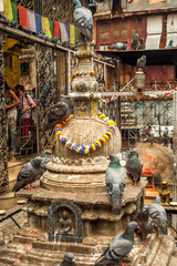 Stupa with Pingeons