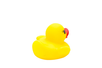 Rubber duck