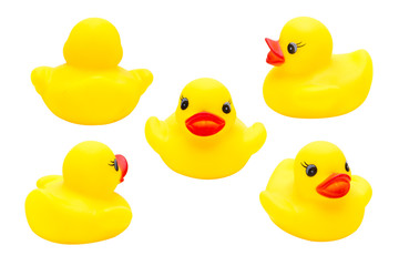 Rubber duck