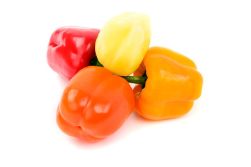 colorful paprika over white