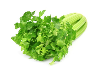 fresh celery