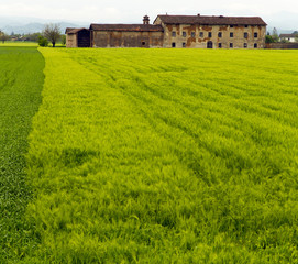 Farmhouse in the green field