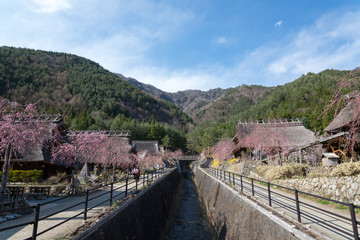 Gassho House at Iyashi-no-Sato Village, Nenba, Japan