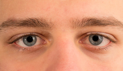 Fototapeta premium Blue eyes