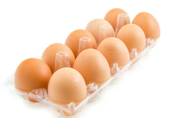 chicken eggs
