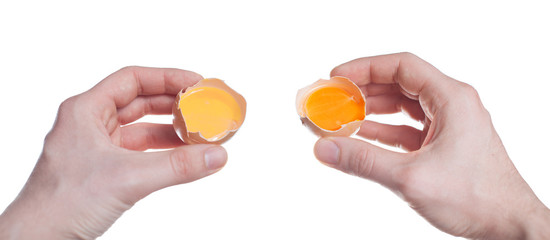 bio egg compared to non-bio side by side