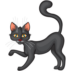 Black cat