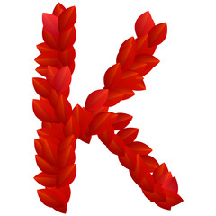 Letter K of red petals alphabet