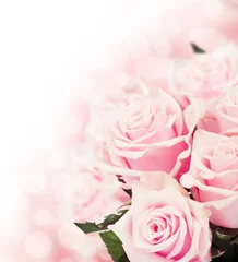 Tuinposter Roze rozen © oly5