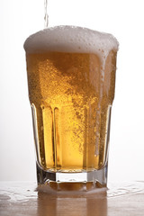 Mug of Beer