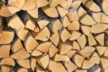 Pile of wood logs ready for winter