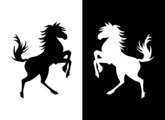 Silhouette von Pferd in schwarz und weiß