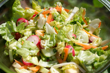 fresh garden salad