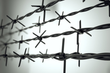 Perspective view of new barbed wire. - obrazy, fototapety, plakaty