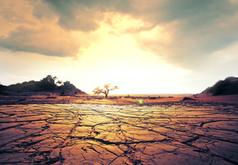Drought land