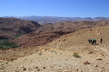 montagnes de l'Atlas