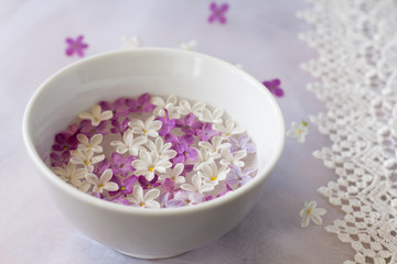 Bowl of water and lilac flowers