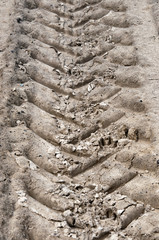 wheel tracks on dirt
