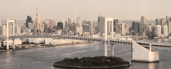 Tokyo Skyline - panorama in sepia