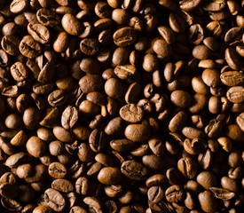 Coffee beans close-up