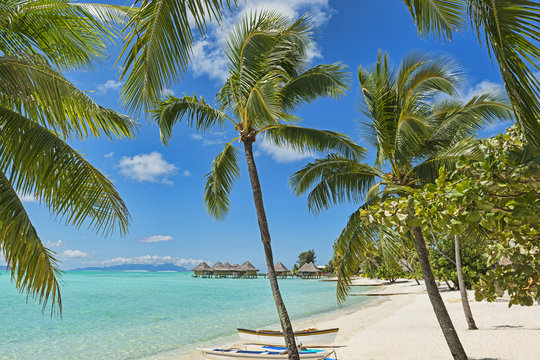 Franz&ouml;sisch-Polynesien-Bora-Bora-6903
