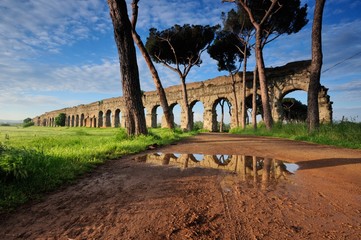 Fototapeta premium Park akweduktów Rzym