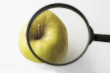 reviewing an apple with a magnifying glass