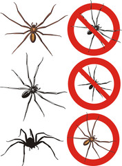 spider - warning signs