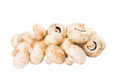 mushrooms