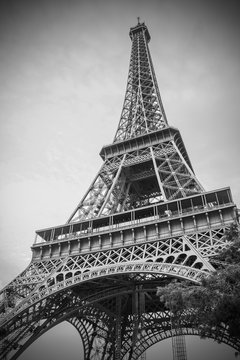 Fototapeta The Eiffel Tower, Paris, France