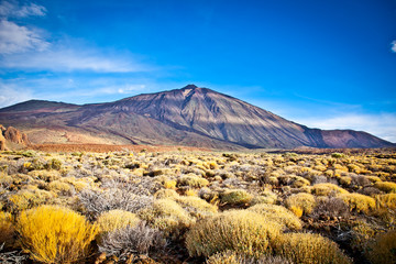 Volcanic lava landscape on Teide, Tenerife,  Spain. - obrazy, fototapety, plakaty